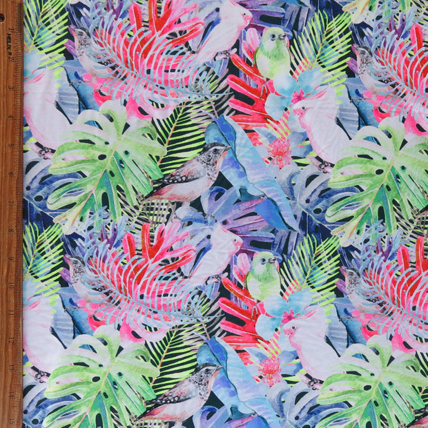 Birds in Paradise Nylon Spandex Swimsuit Fabric – The Fabric Fairy